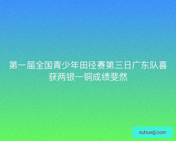 第一届全国青少年田径赛第三日广东队喜获两银一铜成绩斐然