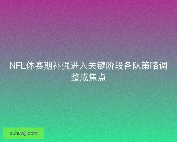 NFL休赛期补强进入关键阶段各队策略调整成焦点