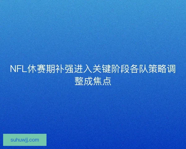 NFL休赛期补强进入关键阶段各队策略调整成焦点
