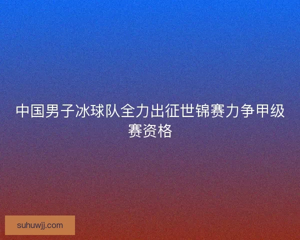 中国男子冰球队全力出征世锦赛力争甲级赛资格
