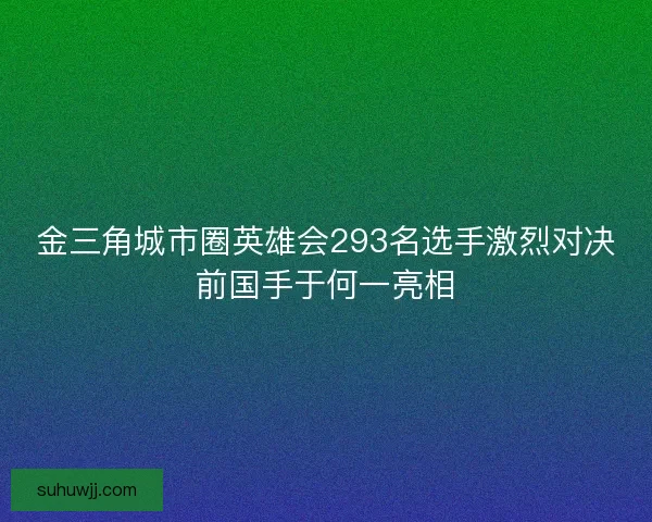 金三角城市圈英雄会293名选手激烈对决前国手于何一亮相