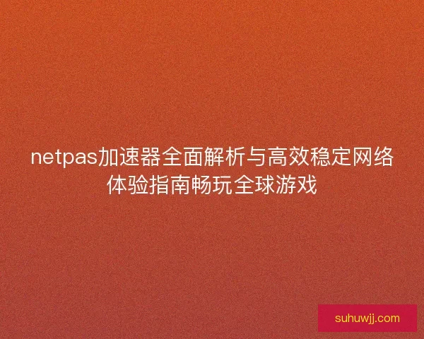 netpas加速器全面解析与高效稳定网络体验指南畅玩全球游戏