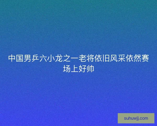 中国男乒六小龙之一老将依旧风采依然赛场上好帅